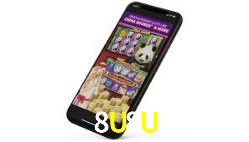 Interface Premium 8U8U